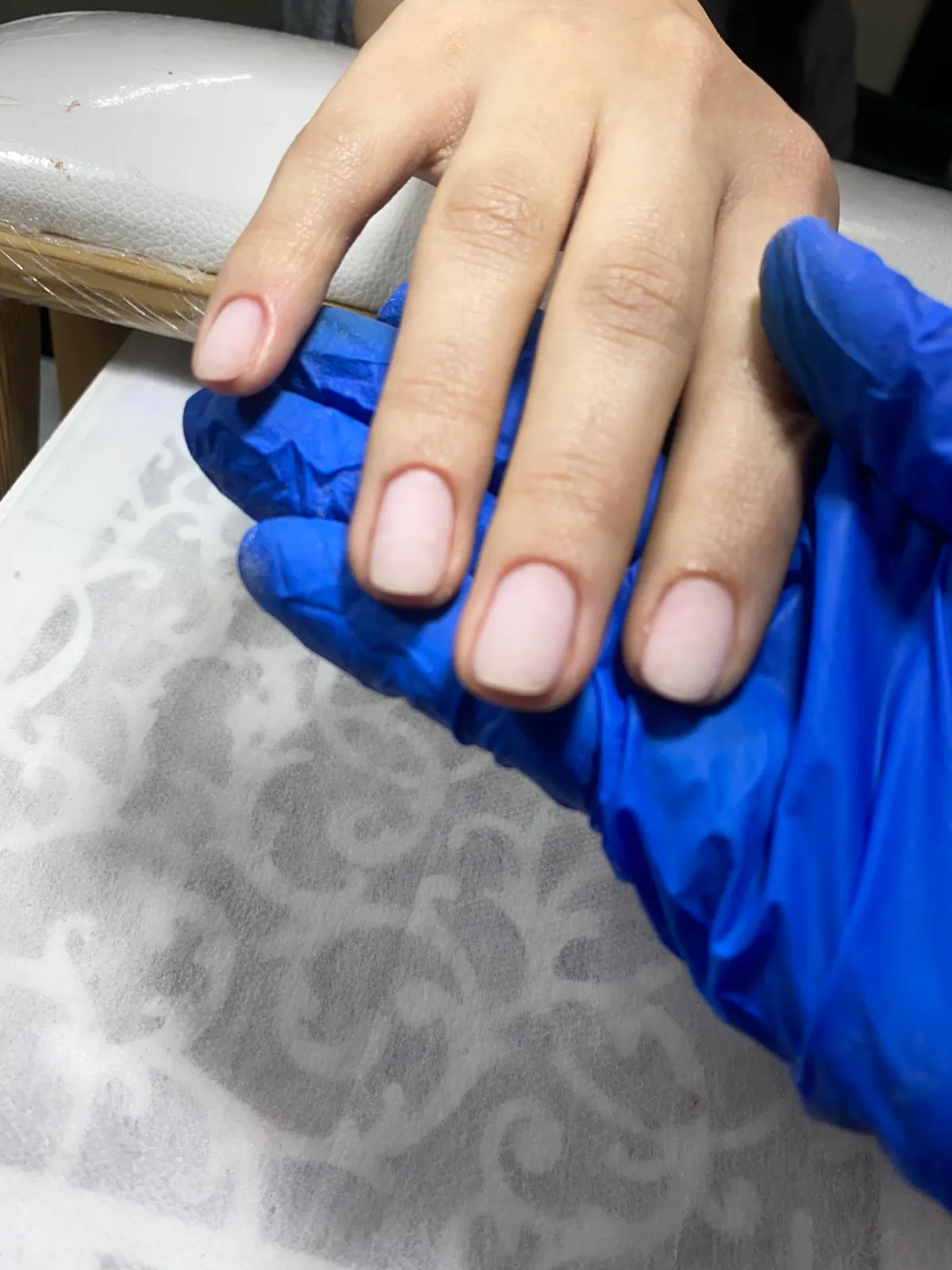 نمونه‌کار