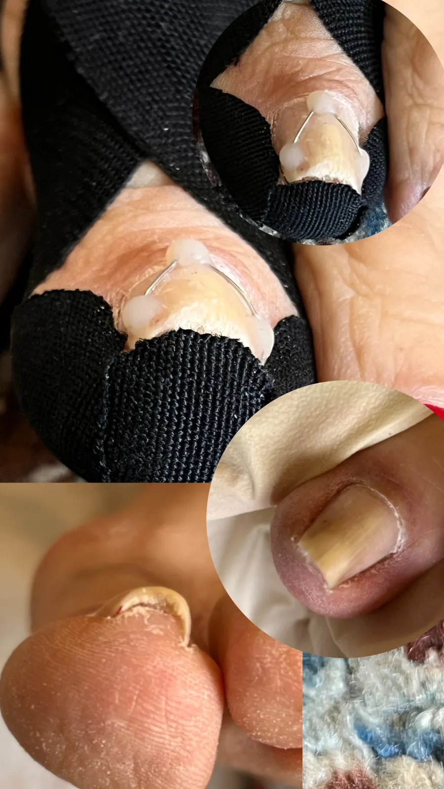 نمونه‌کار
