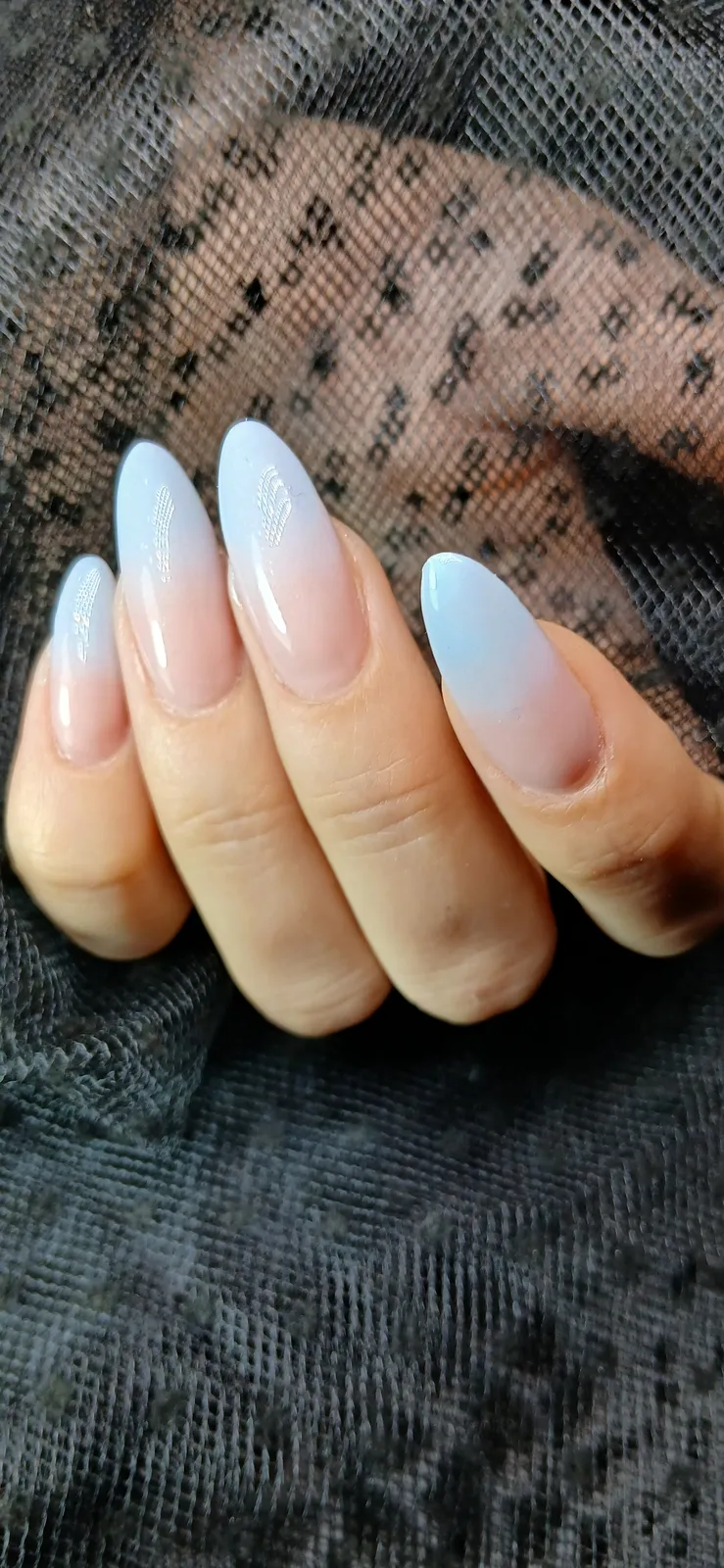 نمونه‌کار