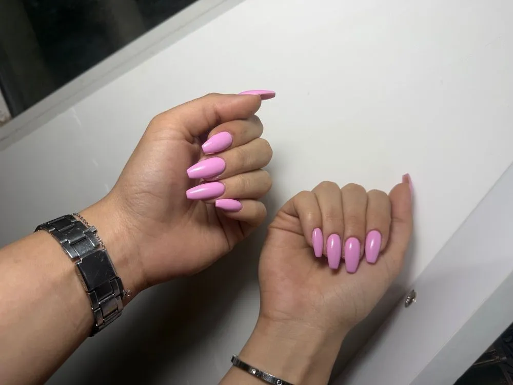 نمونه‌کار